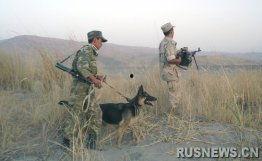 吉塔的资料,探寻东方智慧与生活哲学的传奇人生