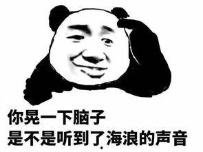 表情包新闻,趣味横生，笑点满满的社会百态